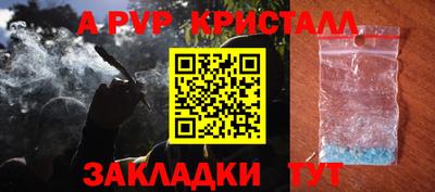PSILOCYBIN Кингисепп